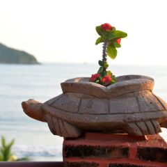 Hotel Aura del Mar интерьер отеля фото 2