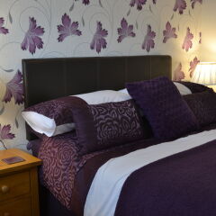 Отель The Sandpiper Guest House детские мероприятия