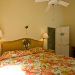 Kingsville Apartments in Bequia, St. Vincent and the Grenadines from 140$, photos, reviews - zenhotels.com guestroom photo 3