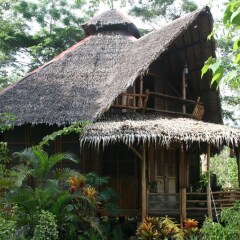 Отель Bamboo Rooms & Cottages by Dang Maria BB Филиппины, Пуэрто-Принцеса - отзывы, цены и фото номеров - забронировать отель Bamboo Rooms & Cottages by Dang Maria BB онлайн