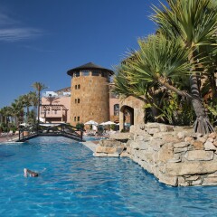 Gran Hotel Elba Estepona Thalasso & Spa бассейн фото 3
