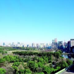 Imperial Hotel Tokyo Токио балкон