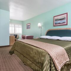Отель Travelodge by Wyndham Berkeley США, Беркли - отзывы, цены и фото номеров - забронировать отель Travelodge by Wyndham Berkeley онлайн фото 2