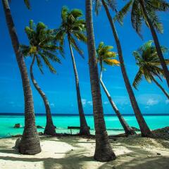 Отель Stingray Beach Inn пляж фото 2