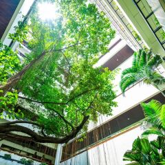 Отель Anantara Siam Bangkok балкон