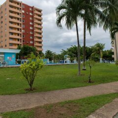Отель Coconut Suite at Turtle Towers