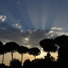 Отель Salesianum Казале Пизана приотельная территория фото 2