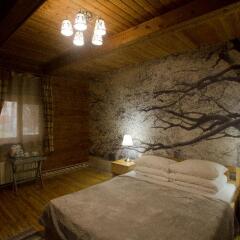 Гостиница CRONA Medical&SPA 4* Стандартный номер с двуспальной кроватью фото 31