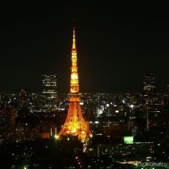 Отель Gracery Tamachi Hotel Япония, Токио - отзывы, цены и фото номеров - забронировать отель Gracery Tamachi Hotel онлайн