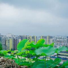Housheng Youth Hostel фото 3