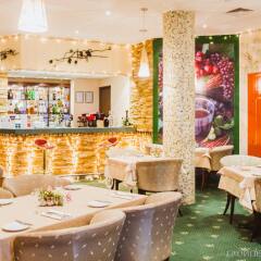 Гостиница Холидей Инн Москва Виноградово (Holiday Inn Moscow Vinogradovo) гостиничный бар