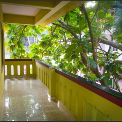 Отель All Seasons Guest House Bogmalo Индия, Богмало - отзывы, цены и фото номеров - забронировать отель All Seasons Guest House Bogmalo онлайн балкон
