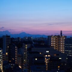 Отель Meguro Gajoen Токио фото 3