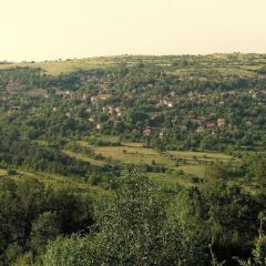 Отель Family Hotel Lipite Болгария, Правец - отзывы, цены и фото номеров - забронировать отель Family Hotel Lipite онлайн фото 10