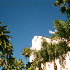 Hollywood Roosevelt Hotel пляж