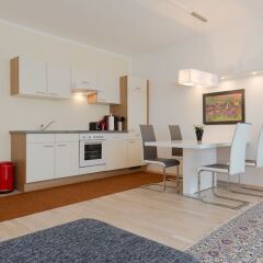 Отель Vienna Apartments Karlsplatz Австрия, Вена - отзывы, цены и фото номеров - забронировать отель Vienna Apartments Karlsplatz онлайн в номере фото 2