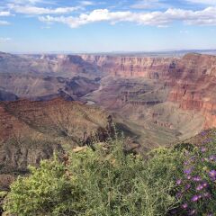 Отель Grand Canyon Plaza Hotel США, Гранд-Каньон - отзывы, цены и фото номеров - забронировать отель Grand Canyon Plaza Hotel онлайн фото 7