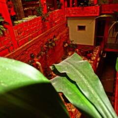Hotel & Hostal Yaxkin Copan фото 9
