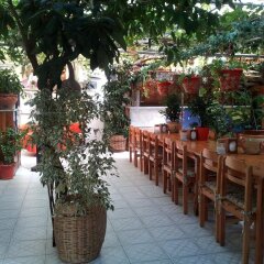 Ferah Pension Monica's Place Турция, Фетхие - отзывы, цены и фото номеров - забронировать отель Ferah Pension Monica's Place онлайн фото 7