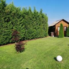 Country Hotel Bless Village развлечения