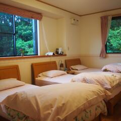Отель Yakushima Pension Ichigoichie Япония, Якусима - отзывы, цены и фото номеров - забронировать отель Yakushima Pension Ichigoichie онлайн комната для гостей фото 4