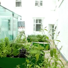 Отель Arthotel Blaue Gans фото 4