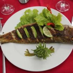 Nouakchott Hotel in Nouakchott, Mauritania from 178$, photos, reviews - zenhotels.com meals photo 3