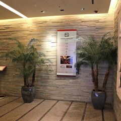 Hotel Gracery Ginza сауна