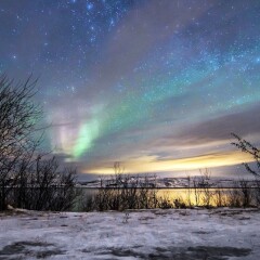 Отель Thon Hotel Kirkenes Норвегия, Киркенес - 1 отзыв об отеле, цены и фото номеров - забронировать отель Thon Hotel Kirkenes онлайн фото 2