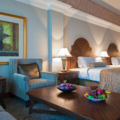 Отель Ayla Hotel ОАЭ, Эль-Айн - отзывы, цены и фото номеров - забронировать отель Ayla Hotel онлайн комната для гостей фото 3