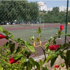 Отель INATEL Albufeira спортивное сооружение