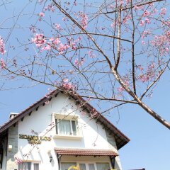 Отель Hoang Loc Villa Далат развлечения
