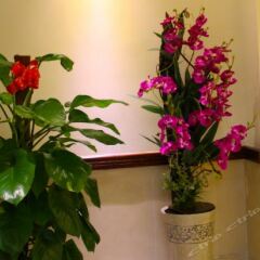 Guangzhou Masia Hotel балкон