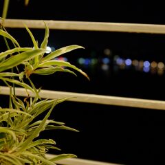 Отель The Autumn Homestay фото 3