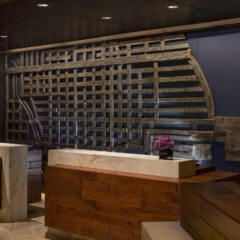 Отель Hyatt Chicago Magnificent Mile бассейн фото 3