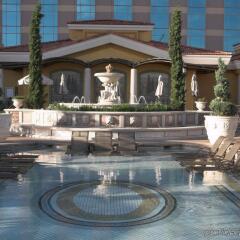 Отель The Venetian Resort Las Vegas с домашними животными