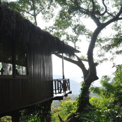 Отель Ella Jungle Inn