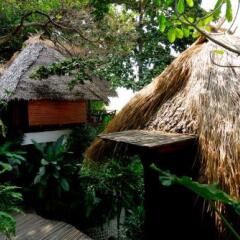 Отель Thipwimarn Resort Koh Tao Таиланд, Остров Тау - отзывы, цены и фото номеров - забронировать отель Thipwimarn Resort Koh Tao онлайн фото 4