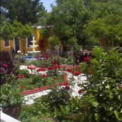 Semeli Hotel- Adults Only фото 13