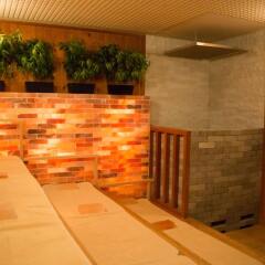 Отель Centurion Cabin & Spa – Caters to Women (отель для женщин) Япония, Токио - отзывы, цены и фото номеров - забронировать отель Centurion Cabin & Spa – Caters to Women (отель для женщин) онлайн сауна