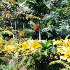 Отель Teresinajamaica Монастырь фото 10