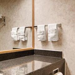 Отель Red Lion Hotel Rosslyn Iwo Jima США, Арлингтон - отзывы, цены и фото номеров - забронировать отель Red Lion Hotel Rosslyn Iwo Jima онлайн ванная