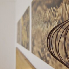 Отель Casa do Pico Португалия, Мадалена - отзывы, цены и фото номеров - забронировать отель Casa do Pico онлайн интерьер отеля фото 2