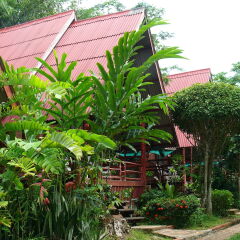 Отель Green View Village Resort детские мероприятия