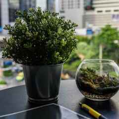 Отель The Connex Asoke Бангкок фото 2