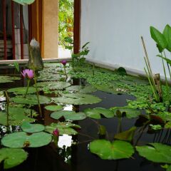 SeaSing Boutique Hotel фото 6