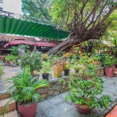 Отель Yasaka Saigon Nha Trang Hotel & Spa Вьетнам, Нячанг - 2 отзыва об отеле, цены и фото номеров - забронировать отель Yasaka Saigon Nha Trang Hotel & Spa онлайн фото 5