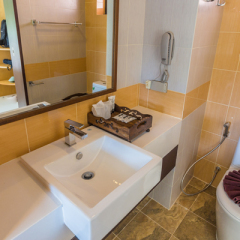 Отель Arogya Healing Center ванная