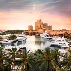 Отель The Royal at Atlantis Багамы, Парадайз Айленд - отзывы, цены и фото номеров - забронировать отель The Royal at Atlantis онлайн балкон