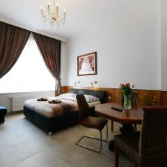 Отель Karla Capka Street Чехия, Карловы Вары - 1 отзыв об отеле, цены и фото номеров - забронировать отель Karla Capka Street онлайн фото 11